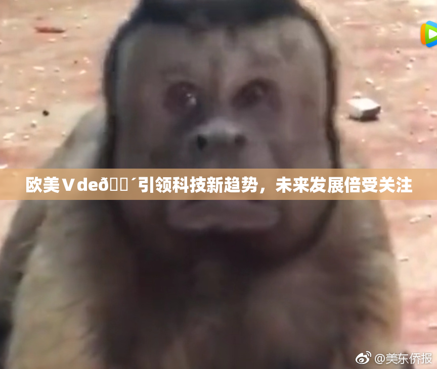 欧美Ⅴde🔴引领科技新趋势，未来发展倍受关注