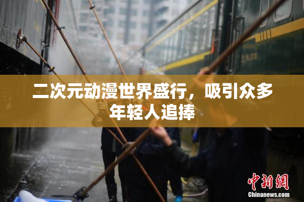 二次元动漫世界盛行，吸引众多年轻人追捧