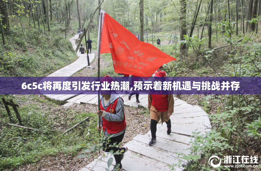 6c5c将再度引发行业热潮,预示着新机遇与挑战并存