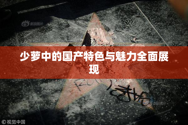 少萝中的国产特色与魅力全面展现