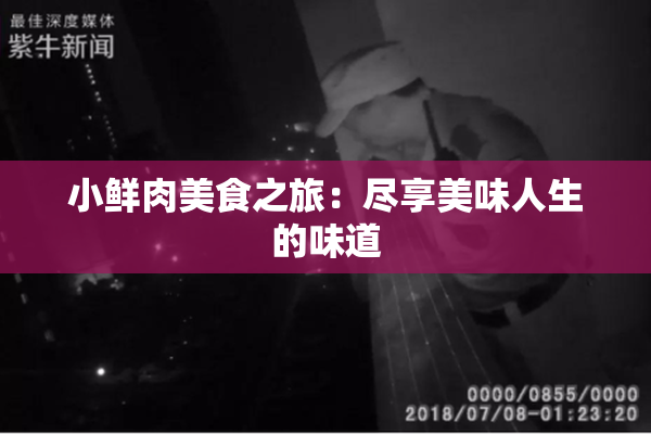 小鲜肉美食之旅：尽享美味人生的味道
