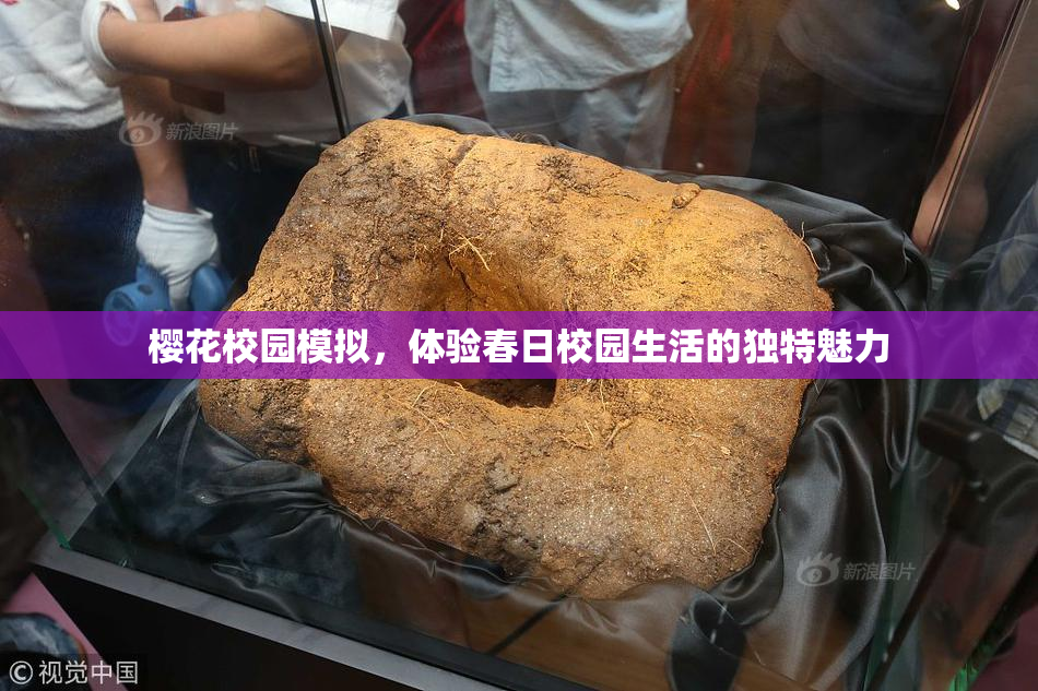 樱花校园模拟，体验春日校园生活的独特魅力