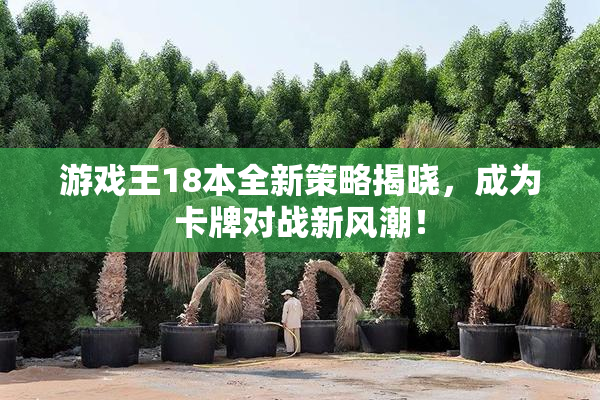 游戏王18本全新策略揭晓，成为卡牌对战新风潮！