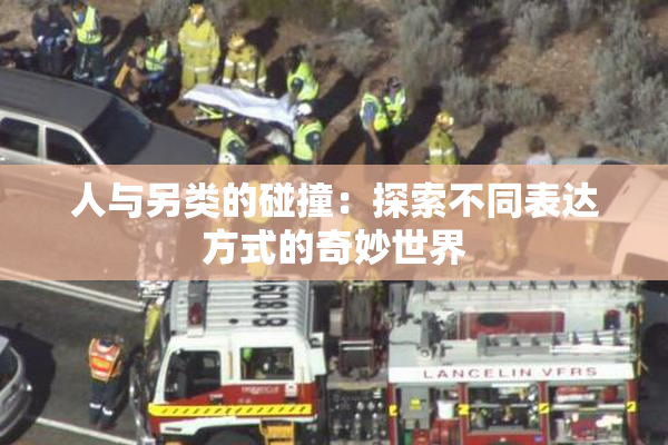 人与另类的碰撞：探索不同表达方式的奇妙世界