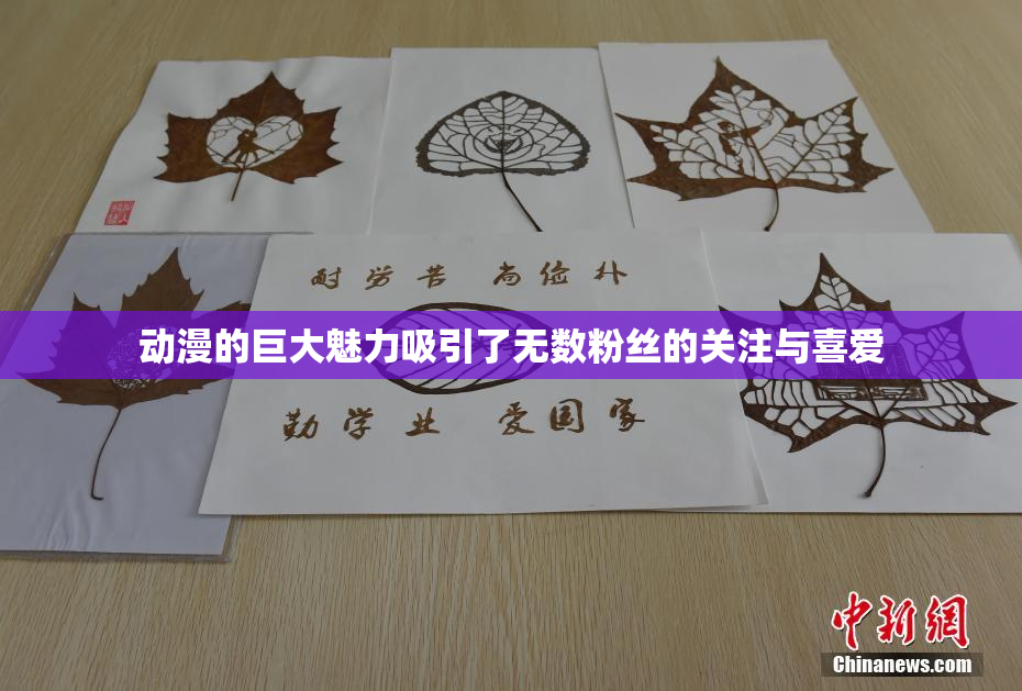 动漫的巨大魅力吸引了无数粉丝的关注与喜爱