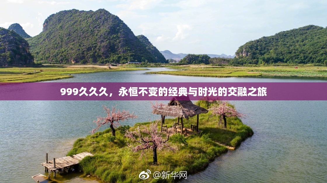 999久久久，永恒不变的经典与时光的交融之旅