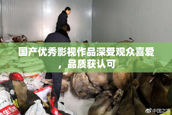 国产优秀影视作品深受观众喜爱，品质获认可