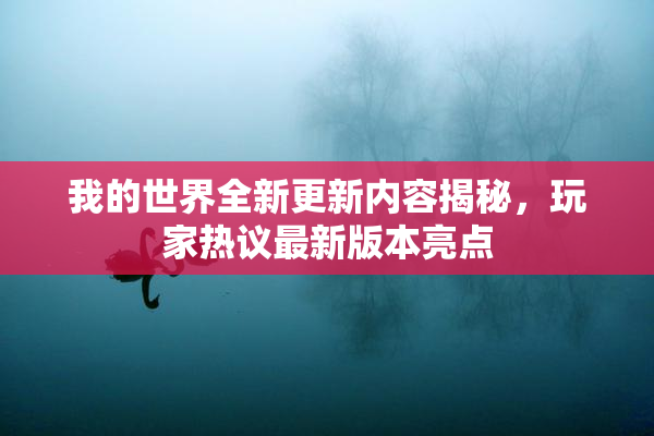 我的世界全新更新内容揭秘，玩家热议最新版本亮点
