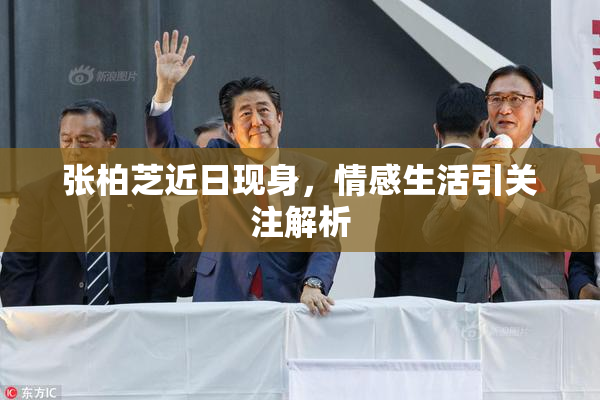 张柏芝近日现身，情感生活引关注解析