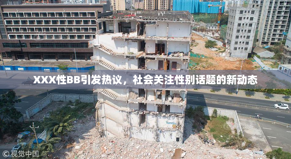 XXX性BB引发热议，社会关注性别话题的新动态