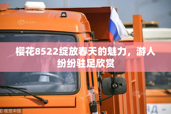樱花8522绽放春天的魅力，游人纷纷驻足欣赏
