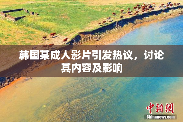 韩国某成人影片引发热议，讨论其内容及影响