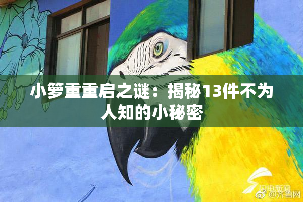 小箩重重启之谜：揭秘13件不为人知的小秘密