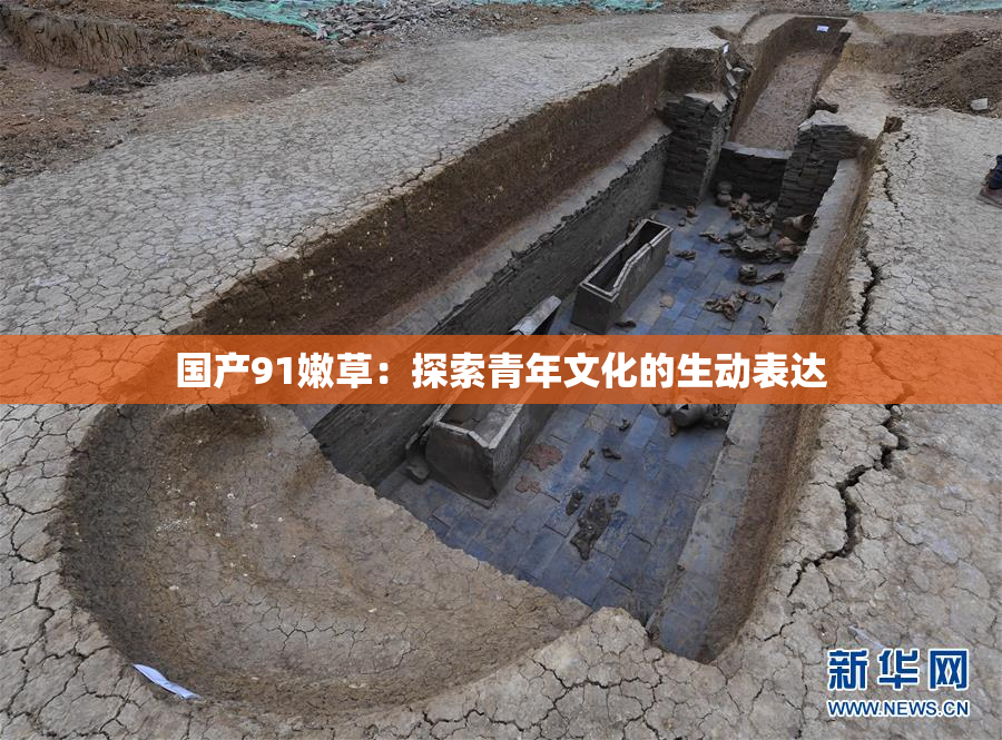 国产91嫩草：探索青年文化的生动表达