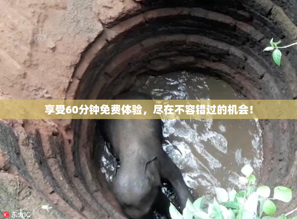 享受60分钟免费体验，尽在不容错过的机会！