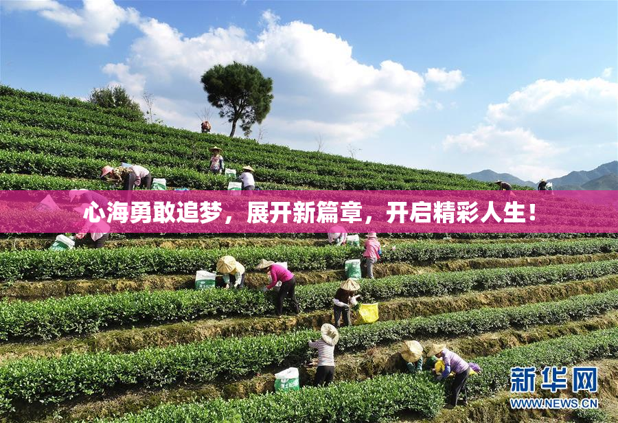 心海勇敢追梦，展开新篇章，开启精彩人生！