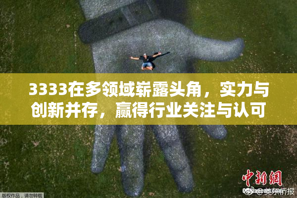3333在多领域崭露头角，实力与创新并存，赢得行业关注与认可