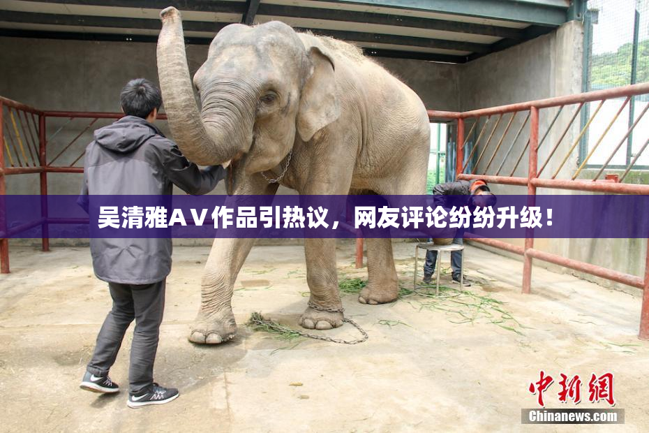 吴清雅AⅤ作品引热议，网友评论纷纷升级！