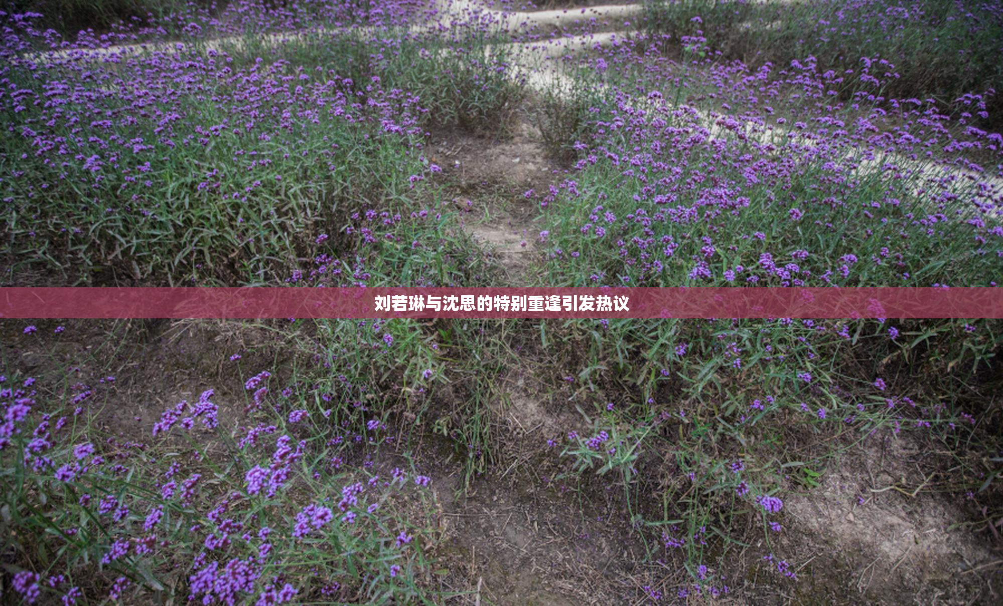 刘若琳与沈思的特别重逢引发热议