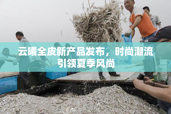 云曦全皮新产品发布，时尚潮流引领夏季风尚