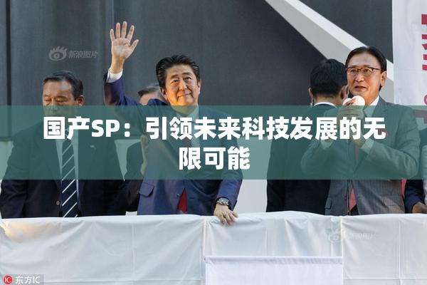 国产SP：引领未来科技发展的无限可能