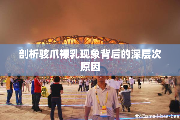 剖析骇爪裸乳现象背后的深层次原因