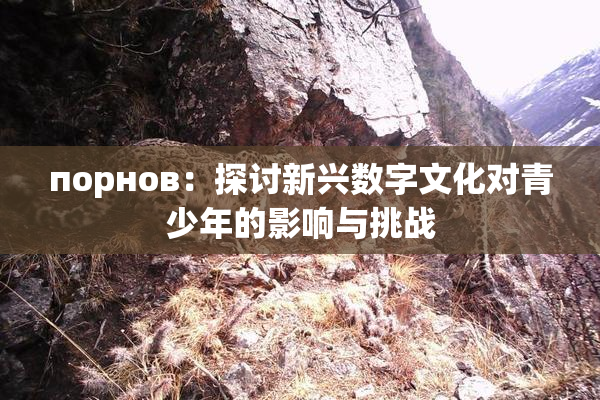 порнов：探讨新兴数字文化对青少年的影响与挑战