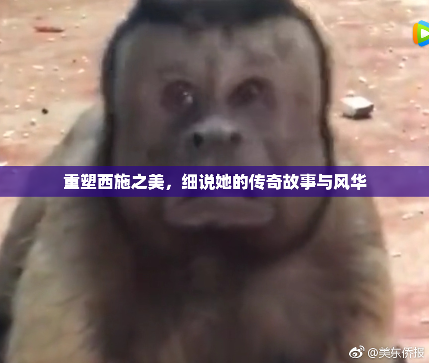 重塑西施之美，细说她的传奇故事与风华