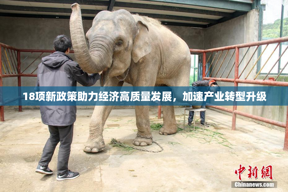 18项新政策助力经济高质量发展，加速产业转型升级