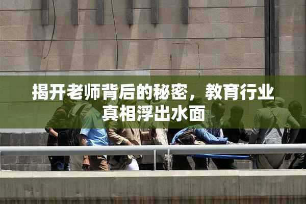 揭开老师背后的秘密，教育行业真相浮出水面