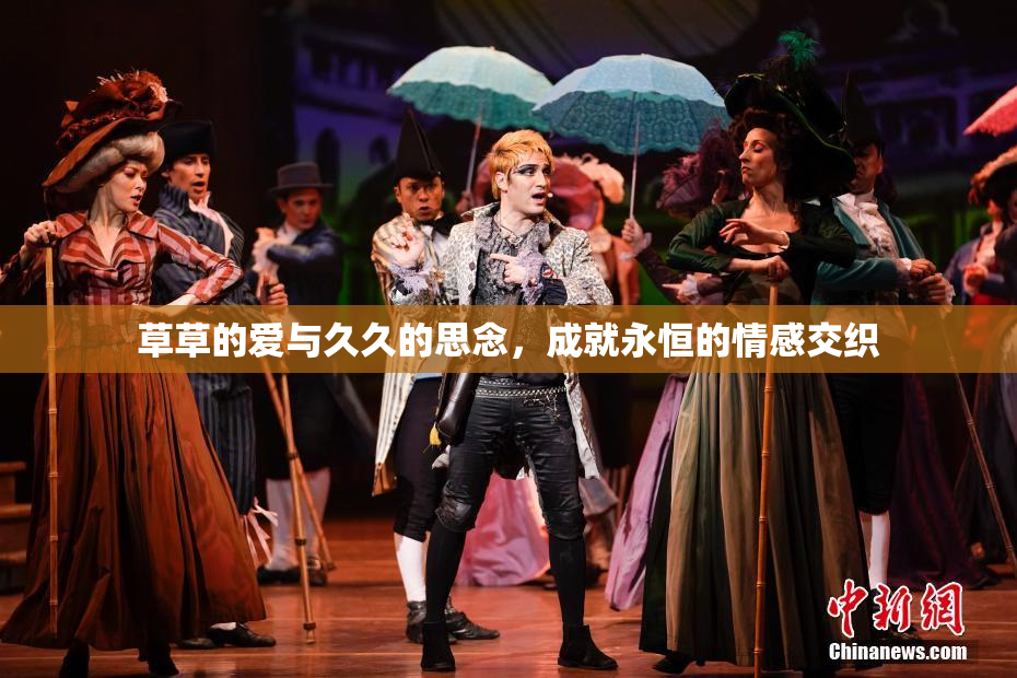 草草的爱与久久的思念，成就永恒的情感交织
