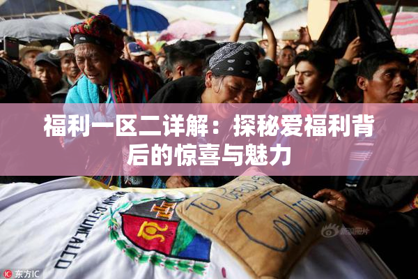 福利一区二详解：探秘爱福利背后的惊喜与魅力