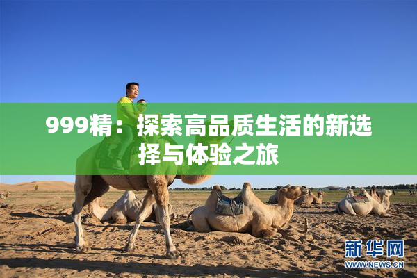 999精：探索高品质生活的新选择与体验之旅