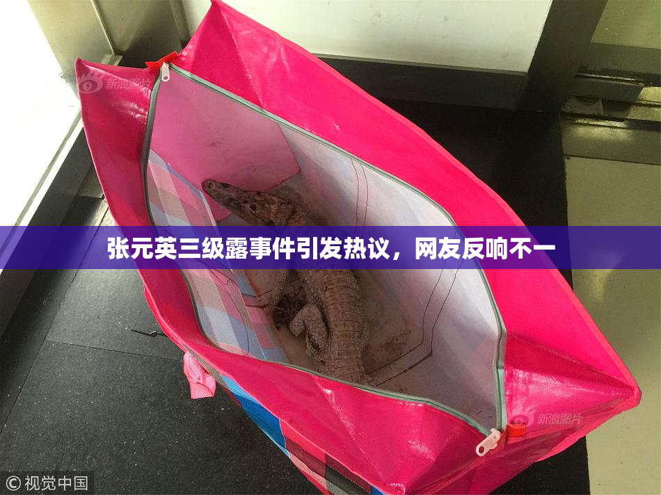 张元英三级露事件引发热议，网友反响不一