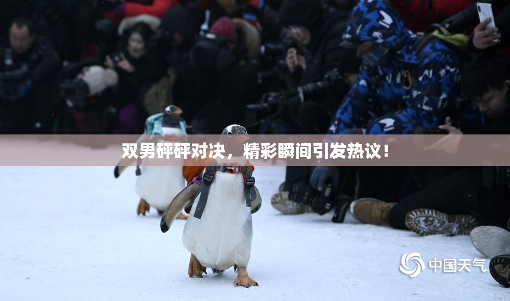 双男砰砰对决，精彩瞬间引发热议！