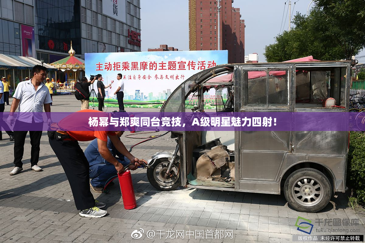 杨幂与郑爽同台竞技，A级明星魅力四射！