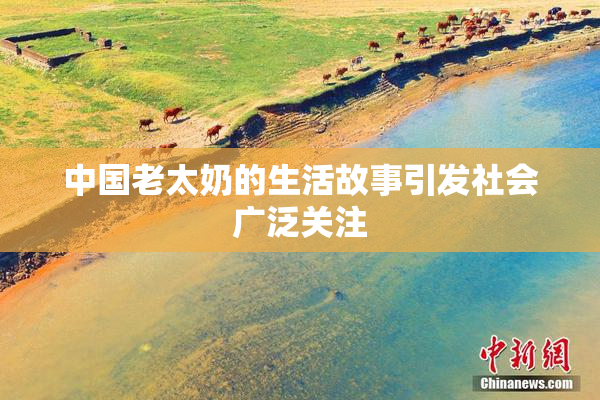 中国老太奶的生活故事引发社会广泛关注