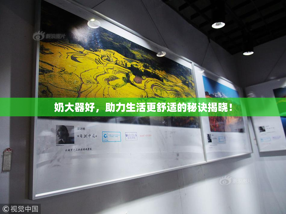 奶大器好，助力生活更舒适的秘诀揭晓！