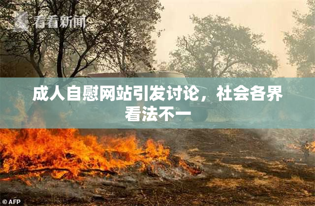 成人自慰网站引发讨论，社会各界看法不一