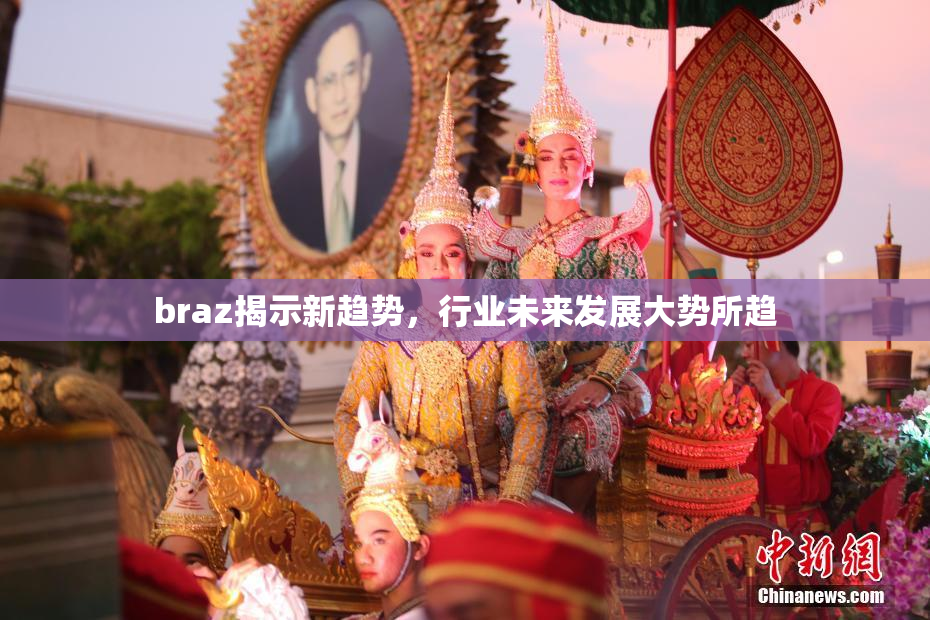 braz揭示新趋势，行业未来发展大势所趋
