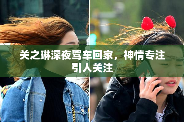 关之琳深夜驾车回家，神情专注引人关注
