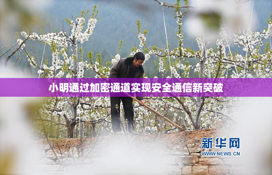 小明通过加密通道实现安全通信新突破