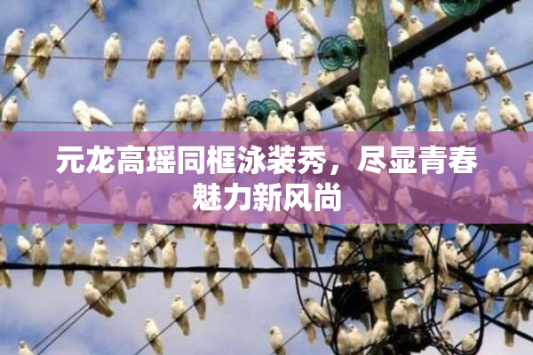 元龙高瑶同框泳装秀，尽显青春魅力新风尚