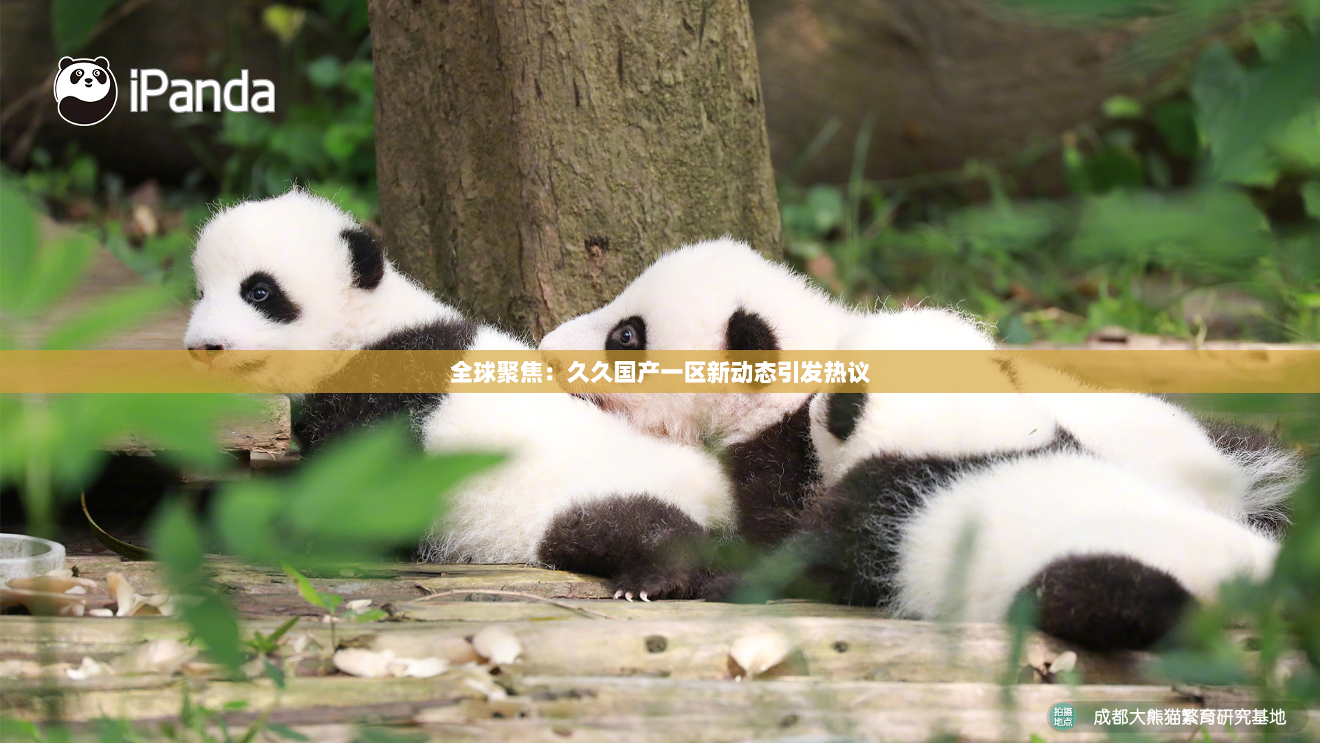 全球聚焦：久久国产一区新动态引发热议