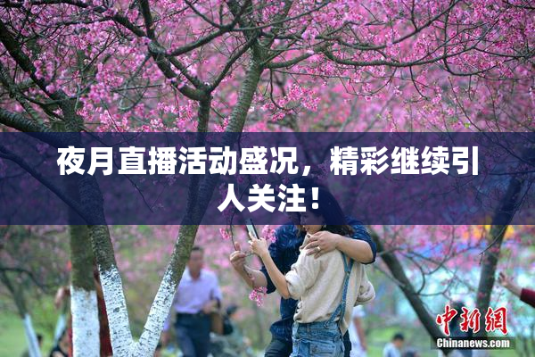 夜月直播活动盛况，精彩继续引人关注！