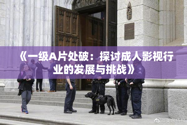 《一级A片处破：探讨成人影视行业的发展与挑战》
