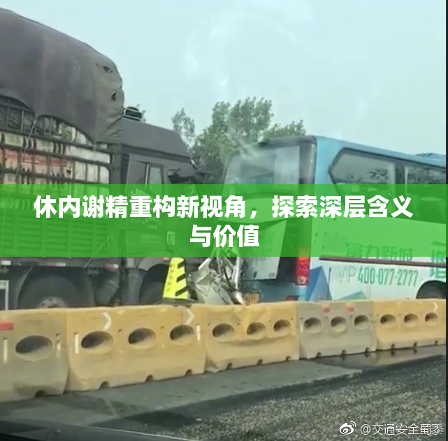 休内谢精重构新视角，探索深层含义与价值