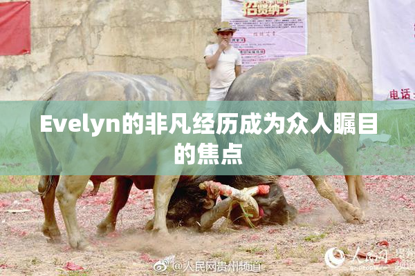 Evelyn的非凡经历成为众人瞩目的焦点