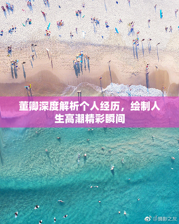 董卿深度解析个人经历，绘制人生高潮精彩瞬间