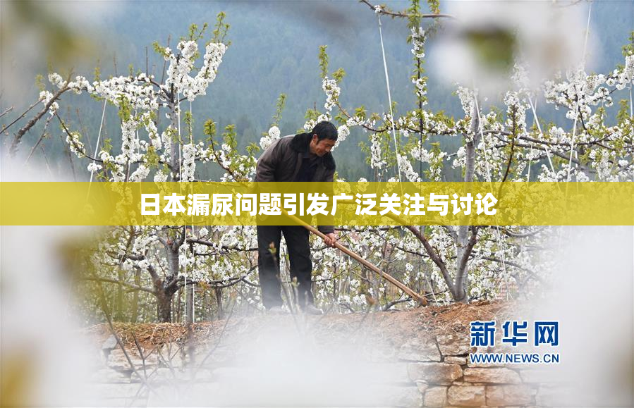 日本漏尿问题引发广泛关注与讨论